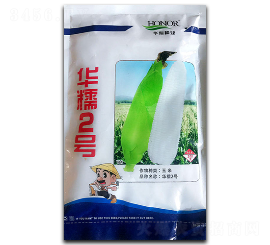 華糯2號-玉米種子-官明天成
