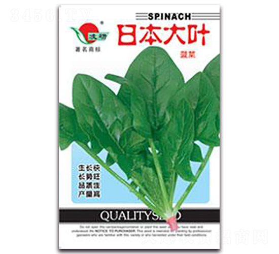 日本大葉-菠菜種子-仁大農業