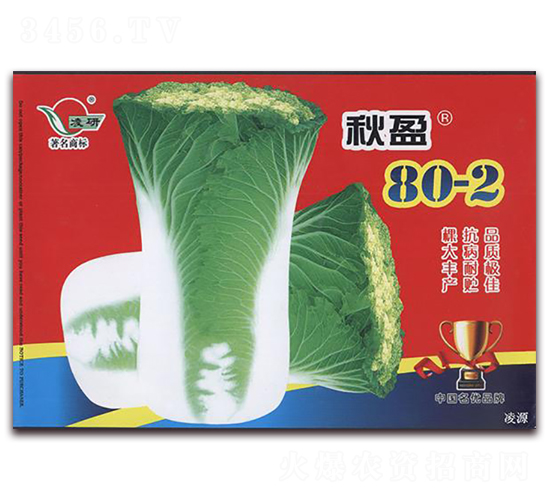 秋盈80-2-白菜種子-仁大農業