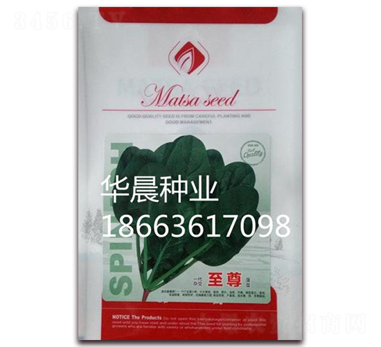 至尊-菠菜種子-華晨種業