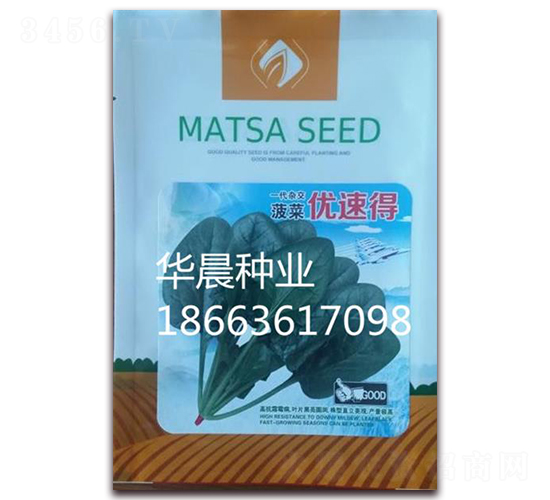 優速得-菠菜種子-華晨種業