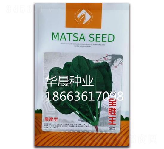 全勝王-菠菜種子-華晨種業