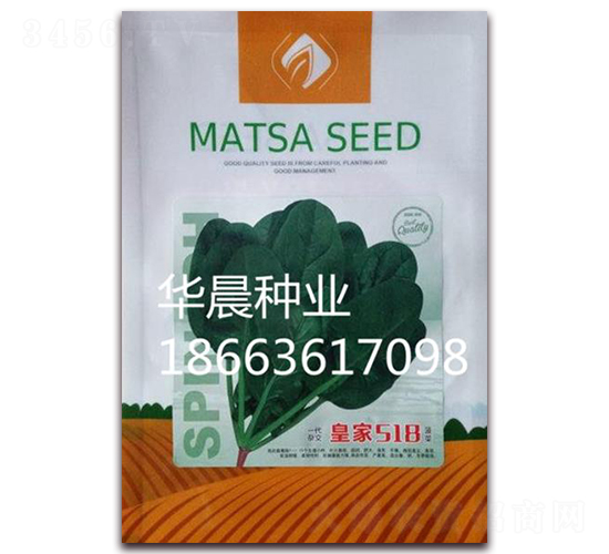 皇家518-菠菜種子-華晨種業