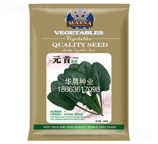 元首菠菜-菠菜種子-華晨種業