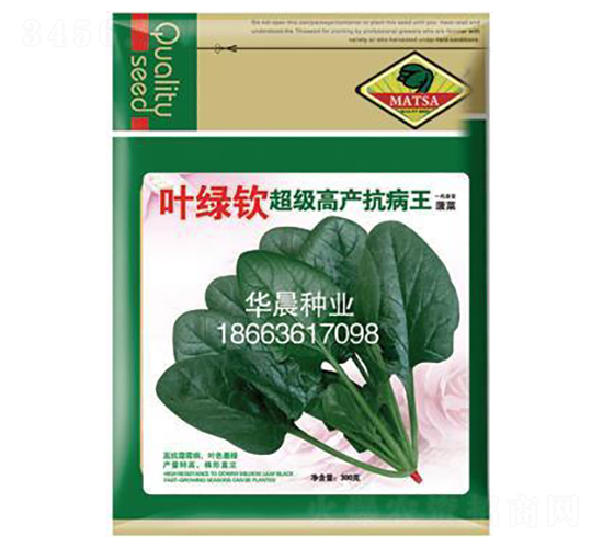 葉綠欽-菠菜種子-華晨種業