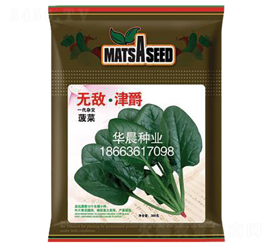無敵·津爵-菠菜種子-華晨種業