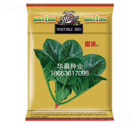 雷沃F1-菠菜種子-華晨種業