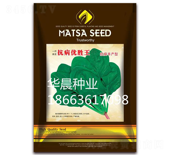 抗病優勝王-菠菜種子-華晨種業