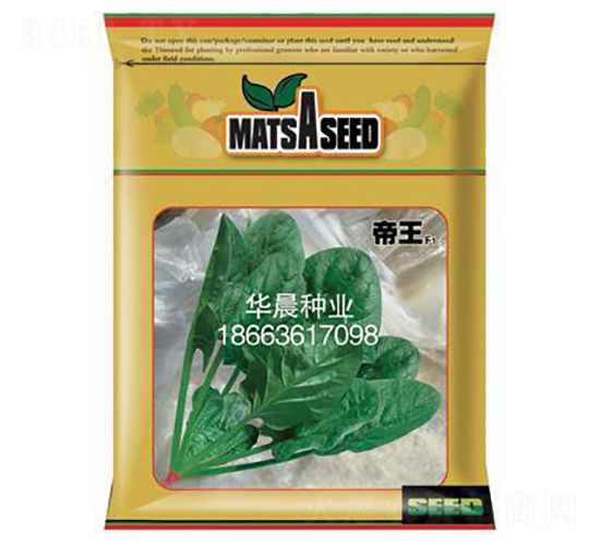 帝王F1-菠菜種子-華晨種業