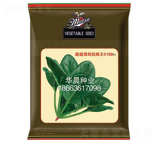 超級綠劍抗病王5188F1-菠菜種子-華晨種業