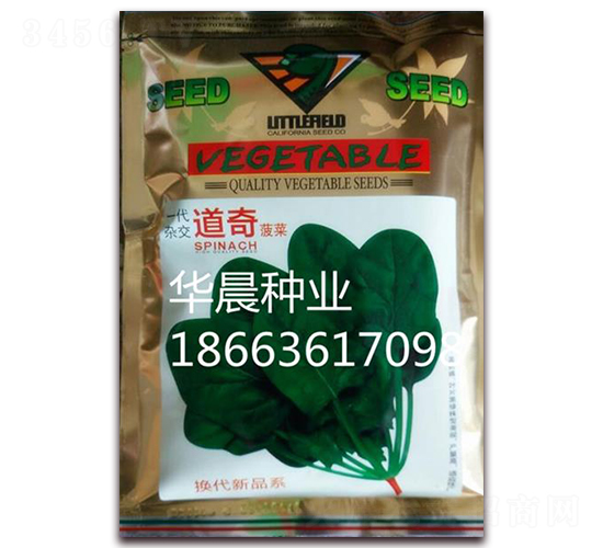 道奇菠菜-菠菜種子-華晨種業