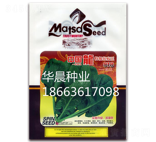 特級抗病王918-菠菜種子-華晨種業