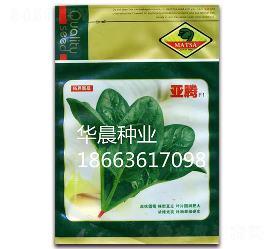 亞騰F1-菠菜種子-華晨種業