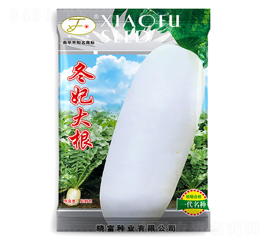 冬妃大根-蘿卜種子-曉富種子
