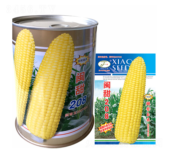 閩甜208-玉米種子-曉富種子