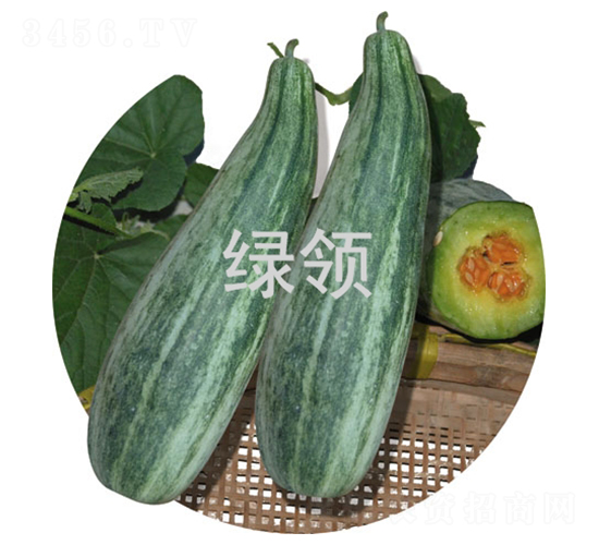 羊角酥-甜瓜種子-綠領(lǐng)種業(yè)