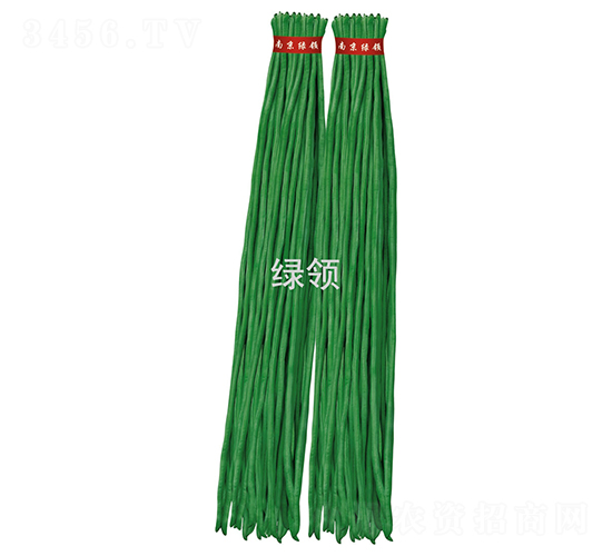 J14-80-ǷN-GINI