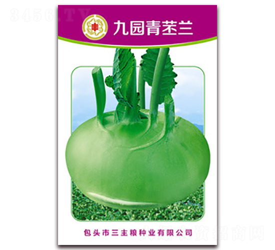 九園青苤蘭-蘿卜種子-三主糧