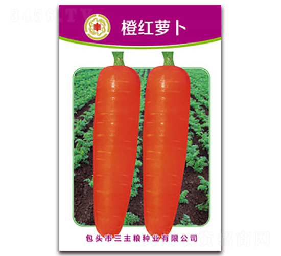 橙紅蘿卜-蘿卜種子-三主糧