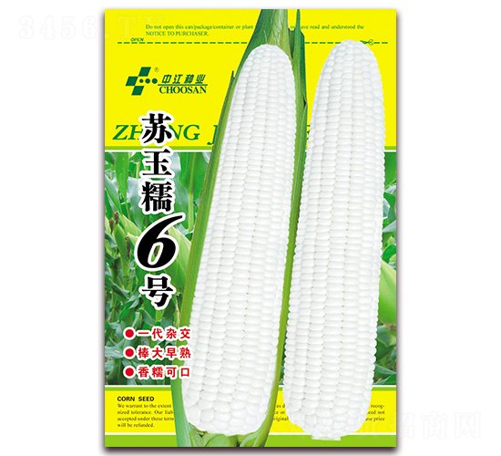 蘇玉糯6號-白糯玉米種子-中江農業