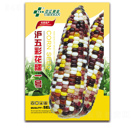 滬五彩花糯一號(hào)-糯玉米種子-中江農(nóng)業(yè)