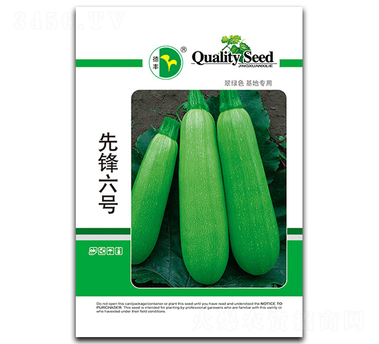 先鋒六號-西葫蘆種子-德豐種業