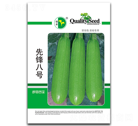 先鋒八號-西葫蘆種子-德豐種業