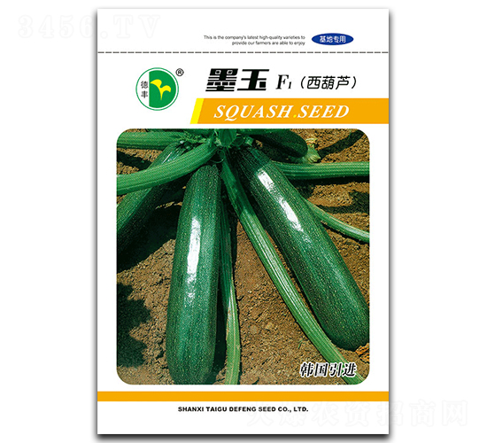 墨玉-西葫蘆種子-德豐種業(yè)