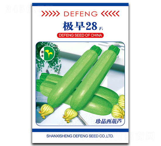 極早28-西葫蘆種子-德豐種業