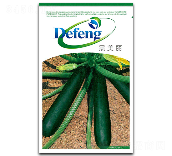黑美麗-西葫蘆種子-德豐種業