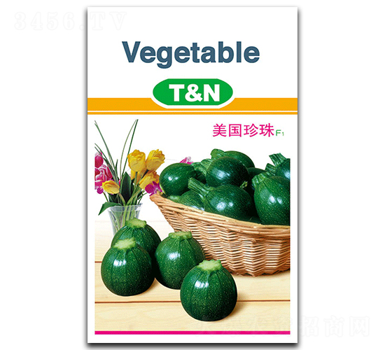 美國(guó)珍珠-西葫蘆種子-德豐種業(yè)