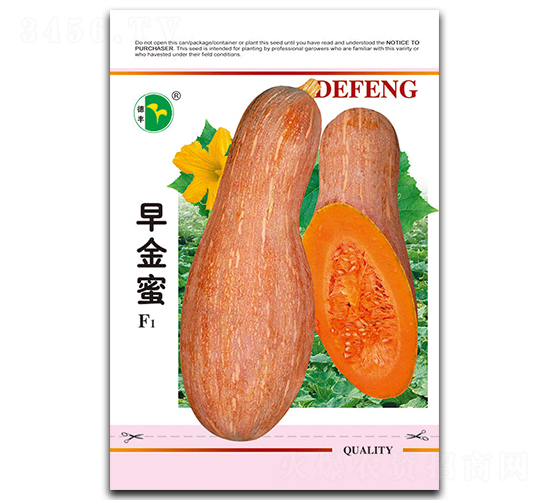 早金蜜-南瓜種子-德豐種業
