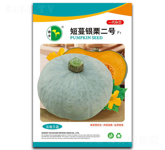 短蔓銀栗二號-南瓜種子-德豐種業
