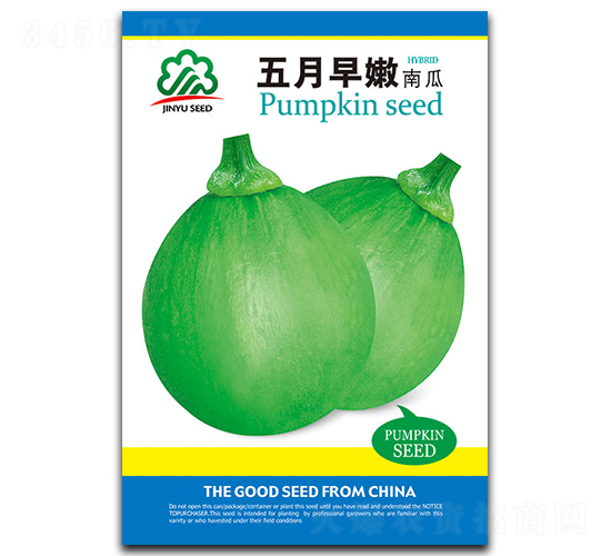 五月早嫩-南瓜種子-德豐種業