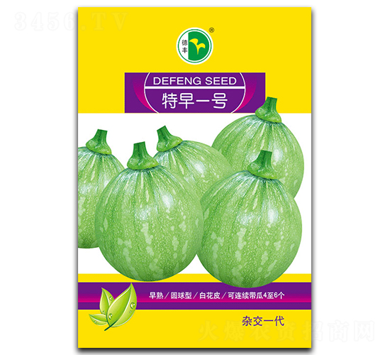 特早一號-南瓜種子-德豐種業