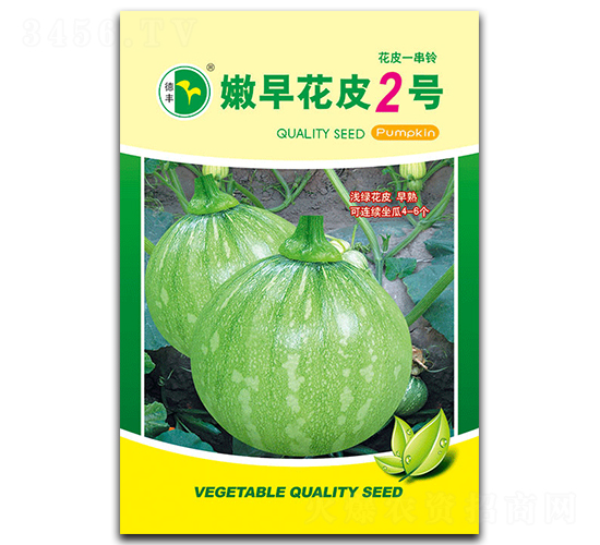 嫩早花皮2號-南瓜種子-德豐種業
