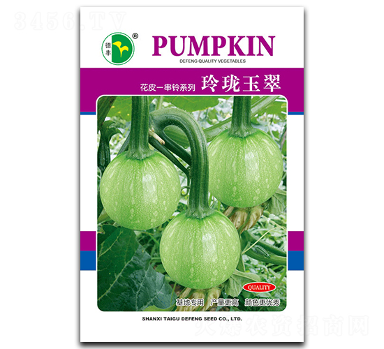 玲瓏玉翠-南瓜種子-德豐種業