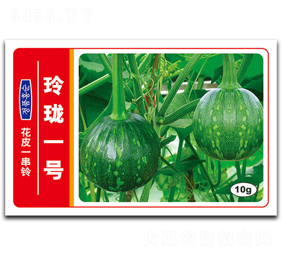玲瓏一號(hào)-南瓜種子-德豐種業(yè)