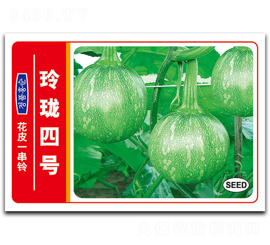 玲瓏四號-南瓜種子-德豐種業