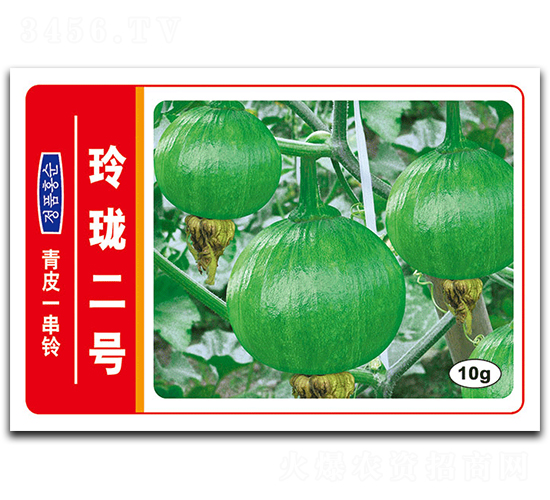 玲瓏二號-南瓜種子-德豐種業