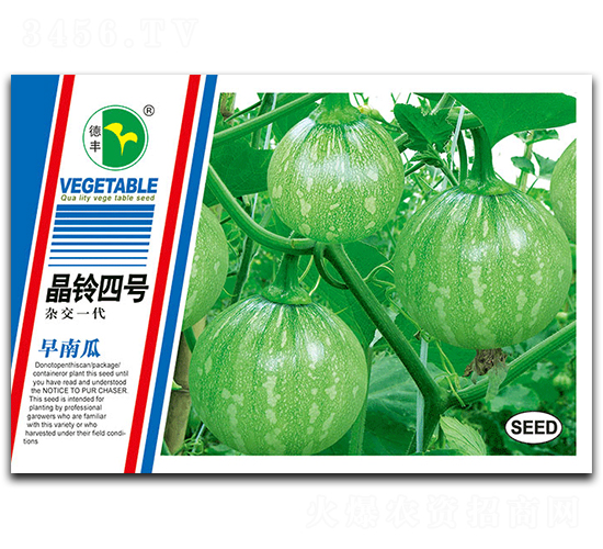 晶鈴四號(hào)-南瓜種子-德豐種業(yè)