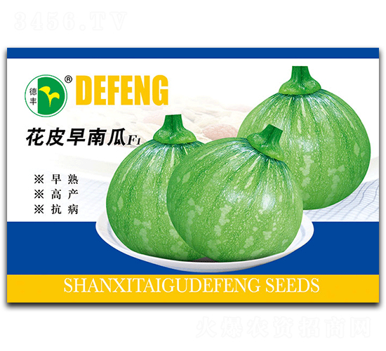 花皮早南瓜-南瓜種子-德豐種業