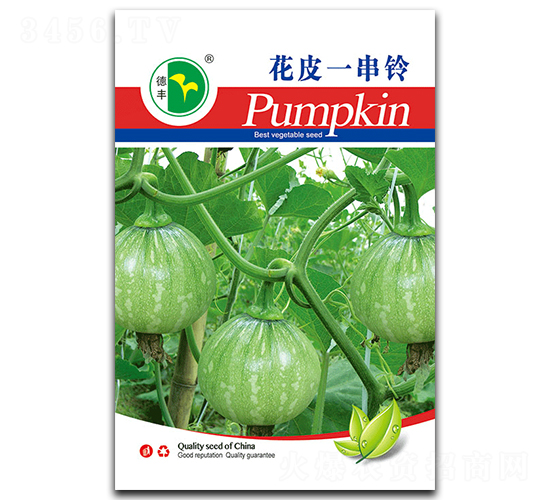 花皮一串鈴-南瓜種子-德豐種業