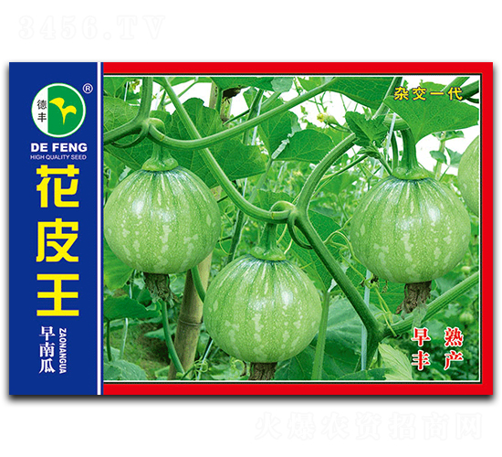 花皮王-南瓜種子-德豐種業