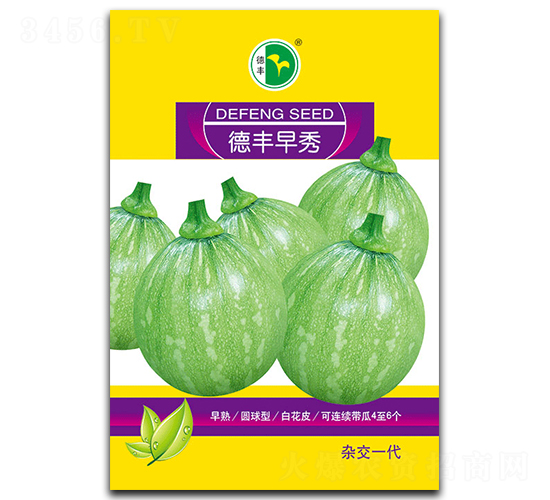德豐早秀-南瓜種子-德豐種業