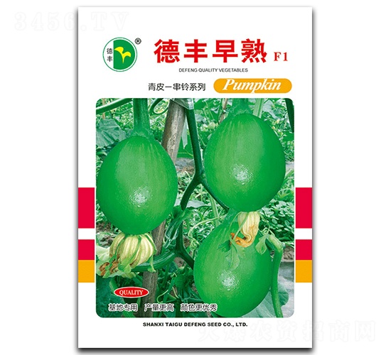 德豐早熟-南瓜種子-德豐種業