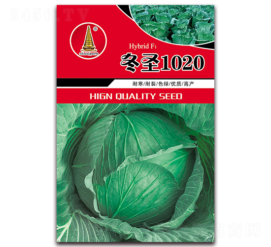 冬圣1020-甘藍種子-中江農業