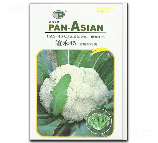 誼禾45-松花菜種子-誼禾