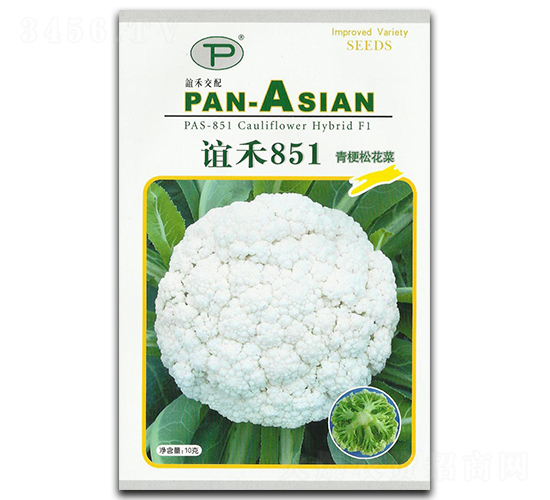 誼禾851-松花菜種子-誼禾