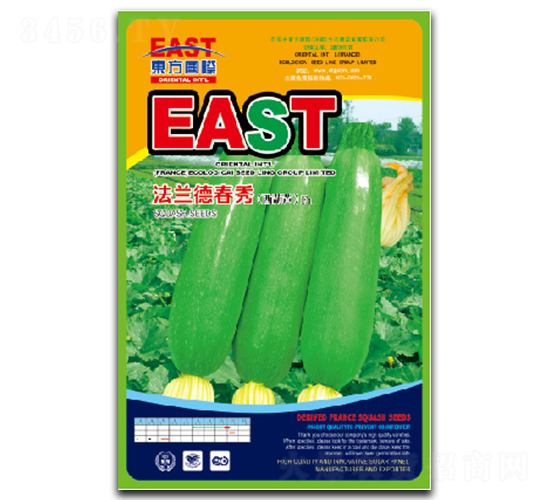 法蘭德春秀-西葫蘆種子-祥瑞達